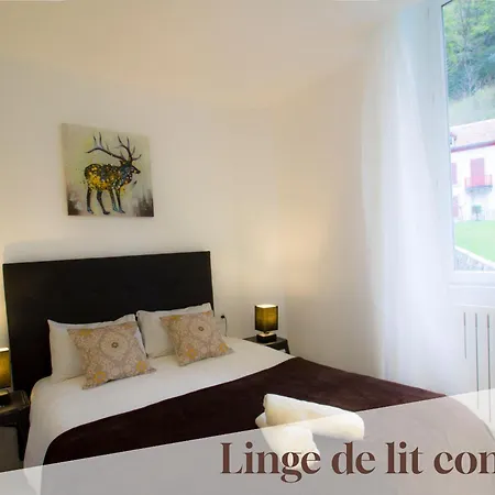 Appartement 4 Eaux-chaudes Proche Et Espagne
